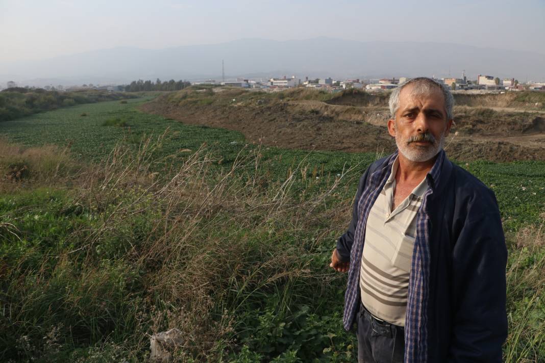 Asi Nehri kayboldu. Suriye’den gelip yeniden istila ettiler. Canlıları yok ediyor, Milli geliri düşürüyor 4